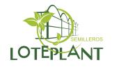 Loteplant