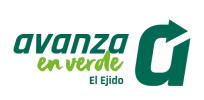 Avanza